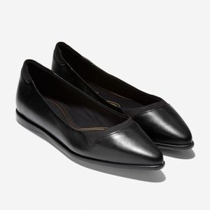Grand Ambition Skimmer Pointed Toe